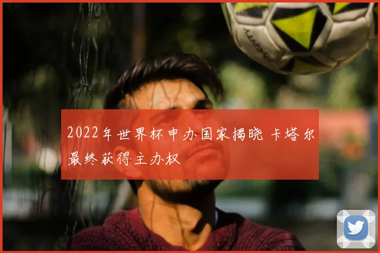 2022年世界杯申办国家揭晓 卡塔尔最终获得主办权