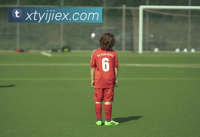 球王会体育(中国)官方网站平台生态图